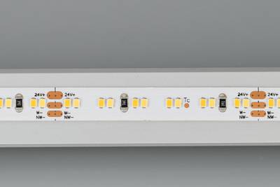 Светодиодная лента MICROLED-5000HP 24V White-MIX 8mm (2216, 240 LED/m, LUX) (Arlight, 19.2 Вт/м, IP20)
