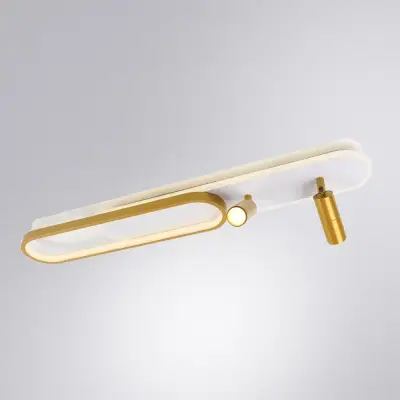 Потолочный светильник Arte Lamp LUCAS A2600PL-32GO, 1хLED
