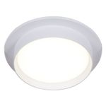 53005-9.0-001RLD GX53 WT светильник точ.