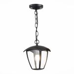 SL081.403.01 Светильник уличный подвесной ST-Luce Черный/Черный, Прозрачный E27 1*40W