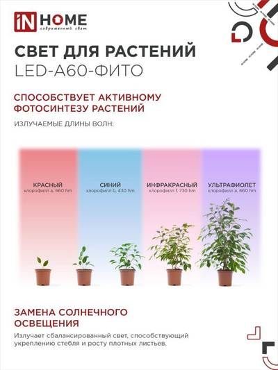 Лампа светодиодная LED-A60-FITO 15Вт A60 грушевидная E27 230В для растений IN HOME 4690612036502