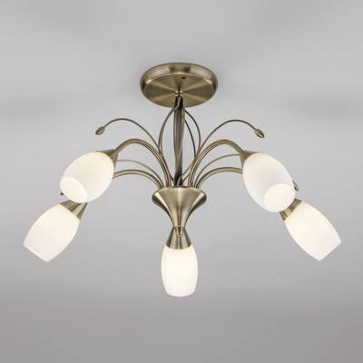 Потолочная люстра со стеклянными плафонами 30280/5