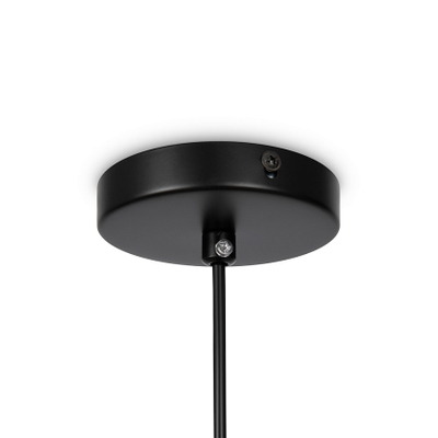 Подвесной светильник Eleon FR5218PL-01B1, E27х1. TM Maytoni