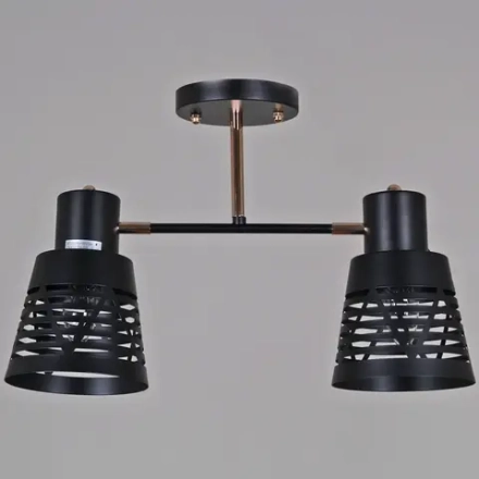 06074-3.3-02 BK+FG светильник потолочный Reluce, E27х2