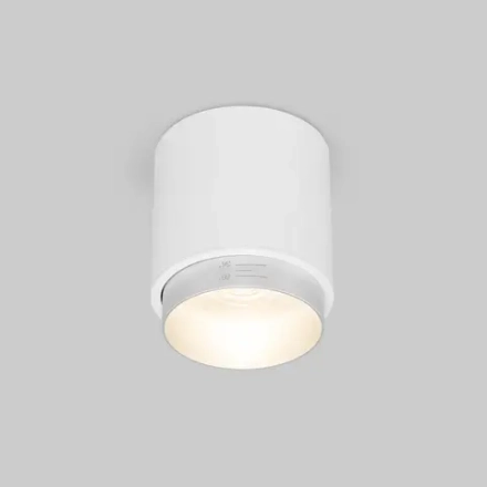 Накладной светодиодный светильник Cors 25032/LED 10W 4200K белый/серебро