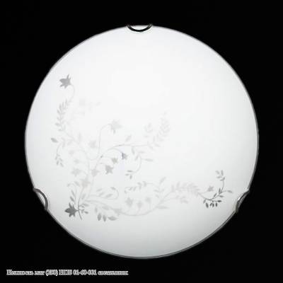 Нежность мат (250) НПБ 01-60-001 светильник