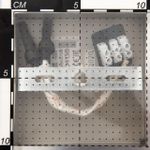 Citilux Риволи CL104120 Люстра с поворотными плафонами Алюминий