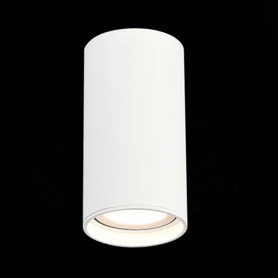 ST157.542.15 Светильник потолочный Белый LED 1*15W 4000K 1 200Lm Ra&gt;90 60° IP44 D75xH140 220-265V