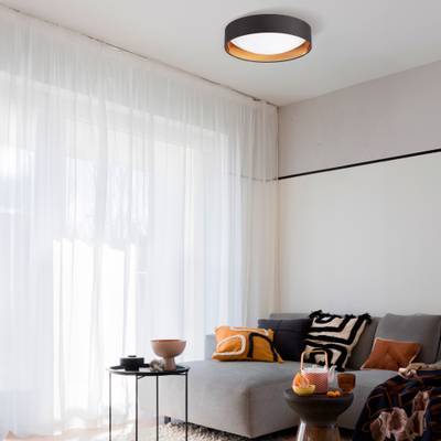 SLE201102-01 Светильник потолочный Черный, Золото/Белый LED 1*24W 4000K