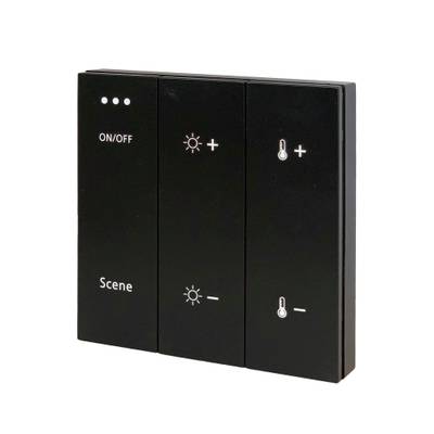 ST015.400.99 Панель управления трековой системой SKYLINE 220 ST-Luce Черный