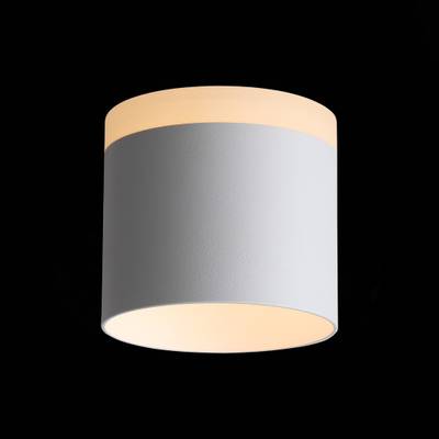 ST102.502.12 Светильник потолочный Белый LED 1*12W 3000K 936Lm Ra&gt;80 120° IP20 D100xH90 170-240V