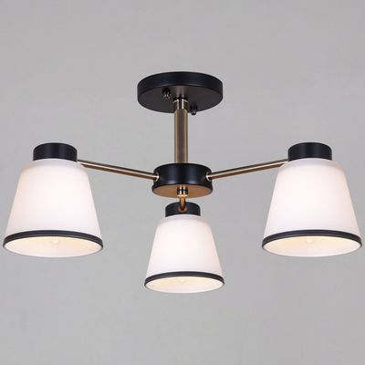 30560-0.3-03 BK+FG светильник потолочный