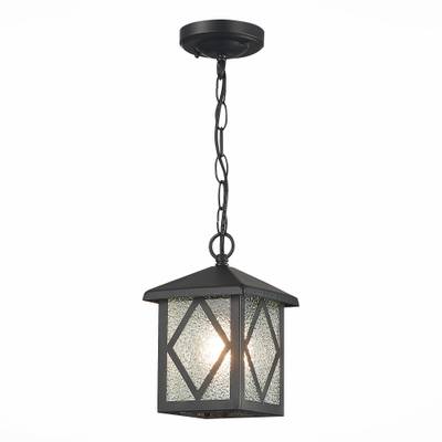 SL084.403.01 Светильник уличный подвесной ST-Luce Черный/Черный, Прозрачный E27 1*60W