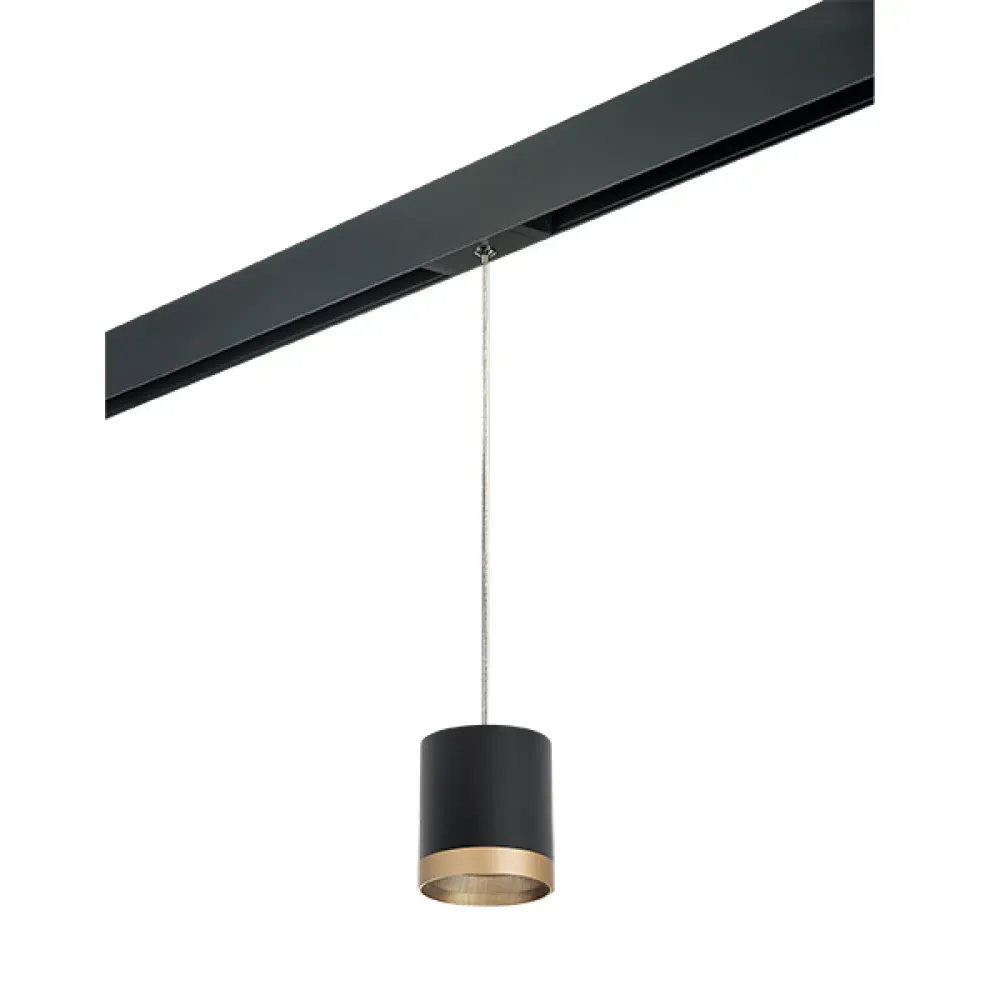 PRORP348790 Светильник д/1-фазн трека RULLO GX53 (213487+595887+203490) Lightstar