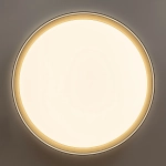 Citilux BOSS CL751451G LED RGB Светильник с пультом Чёрный с Золотом