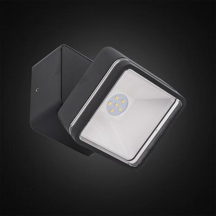 Citilux CLU0008K LED Уличный светильник поворотный Графит