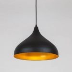 Подвесной светильник Arte Lamp CARMEL A7076SP-1BK, 1хE14