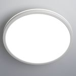 Citilux Basic Line CL738320VL Светильник с подсветкой Белый