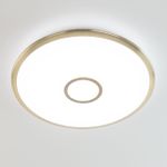 Citilux Старлайт Смарт CL703A83G RGB Умная люстра Бронза