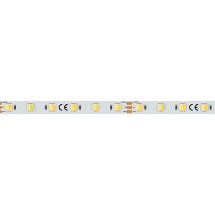 Светодиодная лента RT 6-5000 24V White-MIX-One 2x (5060, 60 LED/m, LUX) (Arlight, Изменяемая ЦТ)