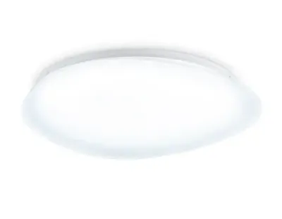 Светильник светодиодный потолочный FZ1605 FR матовый IP20 60W 5000K 510*100 (Без ПДУ)