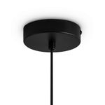 Подвесной светильник Irisa FR5593PL-01B, G9х1. TM Maytoni