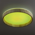 Citilux ENZO CL753352G LED RGB Светильник с пультом Клён