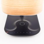 Citilux Ньютон CL803042 LED Настольная лампа Qi Bluetooth