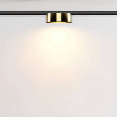 Трековый светильник Зон / Zon Levity 2700К 12Вт 100°, TR189-1-12W2.7K-BBS. TM Maytoni