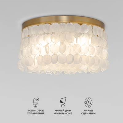 Умная потолочная люстра с перламутром 60084/5 латунь/перламутр Smart, E14х5