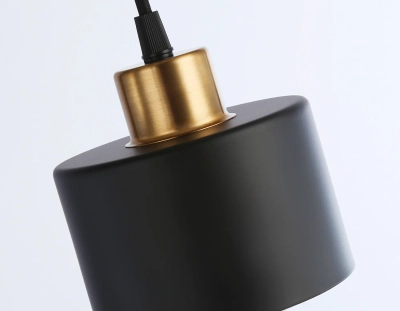 Подвесной светильник в стиле лофт TR8113 BK/BS черный/латунь E27 max 40W D120*940