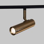 Потолочный светодиодный светильник с поворотным механизмом 20252/6 LED черный/латунь, LED