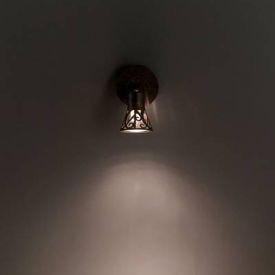 Citilux Винон CL519514 Спот поворотный Антик