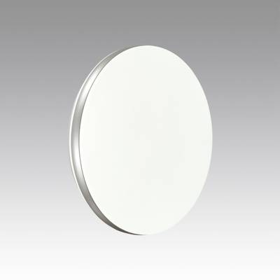 7625/CL PALE SN 168 Светильник пластик/белый/серебристый LED 30Вт 4000К D340 IP43 RINGO