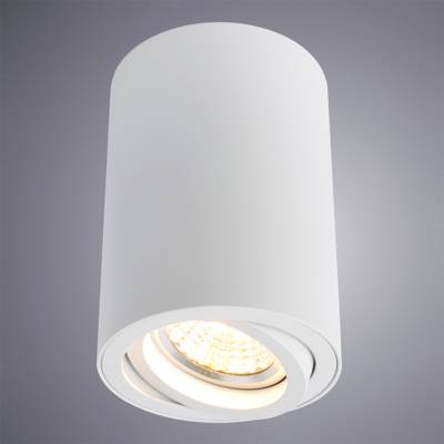 Точечный накладной светильник Arte Lamp SENTRY A1560PL-1WH, 1хGU10