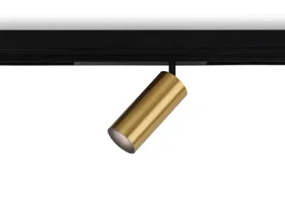Светильник светодиодный диммируемый для шинопровода Magnetic 220V GL1233 GD золото IP20 24W 3000K-6400K 36° D65*140 (Без ПДУ)