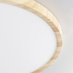 Citilux БейсикCL738322V LED Светильник накладной Клён