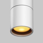 Уличный трековый светильник Focus Led Elasity IP 3000K 8Вт 38° белый O-TR01-1-P-8WW3K. TM Maytoni