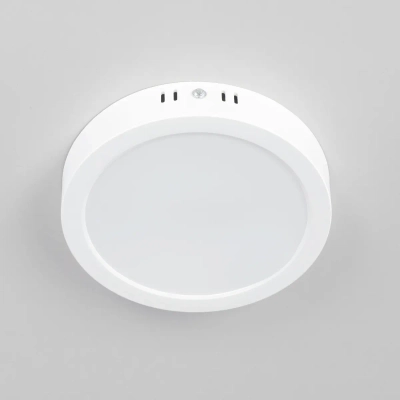 Citilux Галс CL5516N Светильник накладной светодиодный