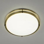 Citilux Бостон CL709503N LED Люстра с диммером Бронза