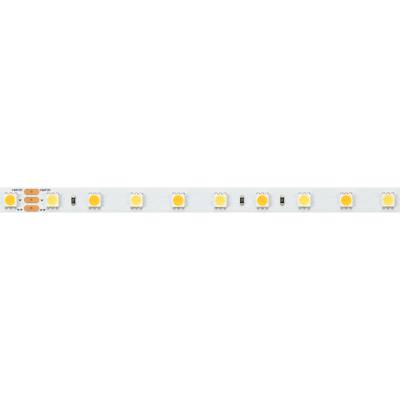 Светодиодная лента RT-B60-10mm 24V White-MIX (14.4 W/m, IP20, 5060, 5m) (Arlight, Изменяемая ЦТ)