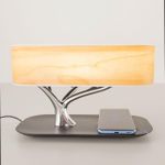 Citilux Ньютон CL803042 LED Настольная лампа Qi Bluetooth