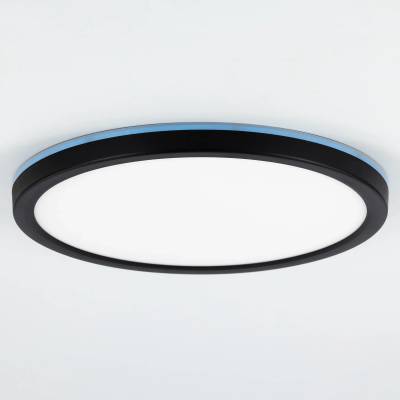 CL738241EL Бейсик Лайн Черный Св-к с пультом LED+RGB 30W