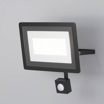 Прожектор Flood 6500К 50Вт IP 65, FL001-L50B6KSR. TM Maytoni