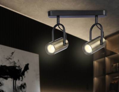 Светильник накладной TA13194/2 BK/SB черный/бронза GU10/2 max 12W 260*100*195