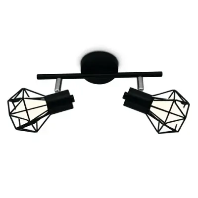 Настенно-потолочный спот в стиле лофт TR8621/2 BK/CH черный/хром E27*2 max 40W 260*91*175 (Уценка по качеству)