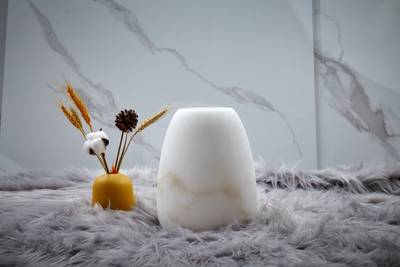 Настольная лампа Magia FL1036-3T, LED