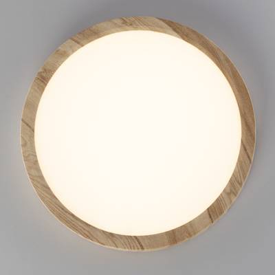 Citilux Бейсик CL738182V LED Светильник накладной Клён