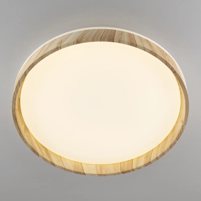 Citilux ENZO CL753452G LED RGB Светильник с пультом Клён
