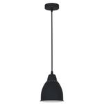 Подвесной светильник Arte Lamp BRACCIO A2054SP-1BK, 1хE27